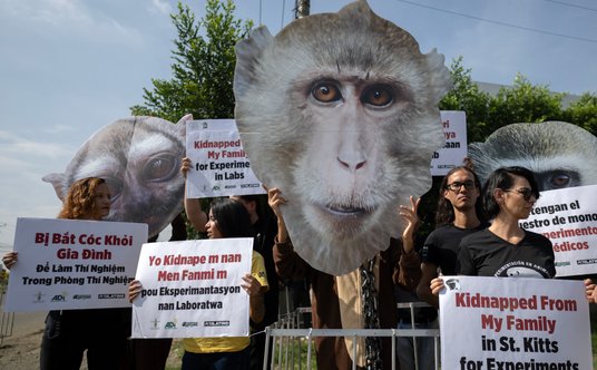 PETA znana jest ze swoich akcji w obronie zwierząt. Niedawno protestowała też w Kolumbii, podczas mi
