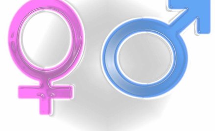 Dylematy feministów
