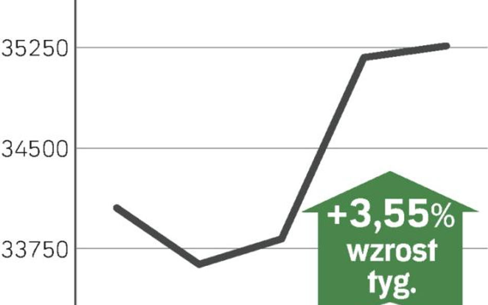 Czas na realizację zysków?