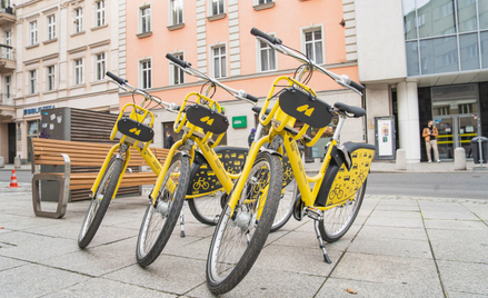 Rower stanowi dla Polaków ważny środek transportu i stał się odpowiedzią na rosnące koszty życia