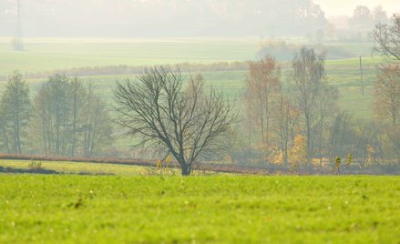 Które gminy w Polsce są najbardziej eko? Trwa konkurs