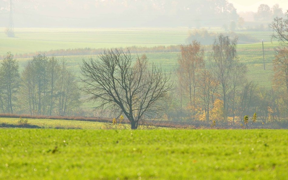 Które gminy w Polsce są najbardziej eko? Trwa konkurs