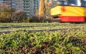 Maty rochodniokowo-ziołowo to nie tylko poprawa estetyki, to oszczęność i mniejsz hałas