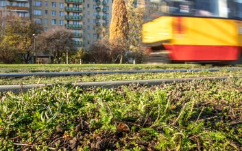 Maty rochodniokowo-ziołowo to nie tylko poprawa estetyki, to oszczęność i mniejsz hałas