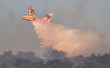 Francja: Katastrofa samolotu gaszącego pożar. Nie żyje pilot