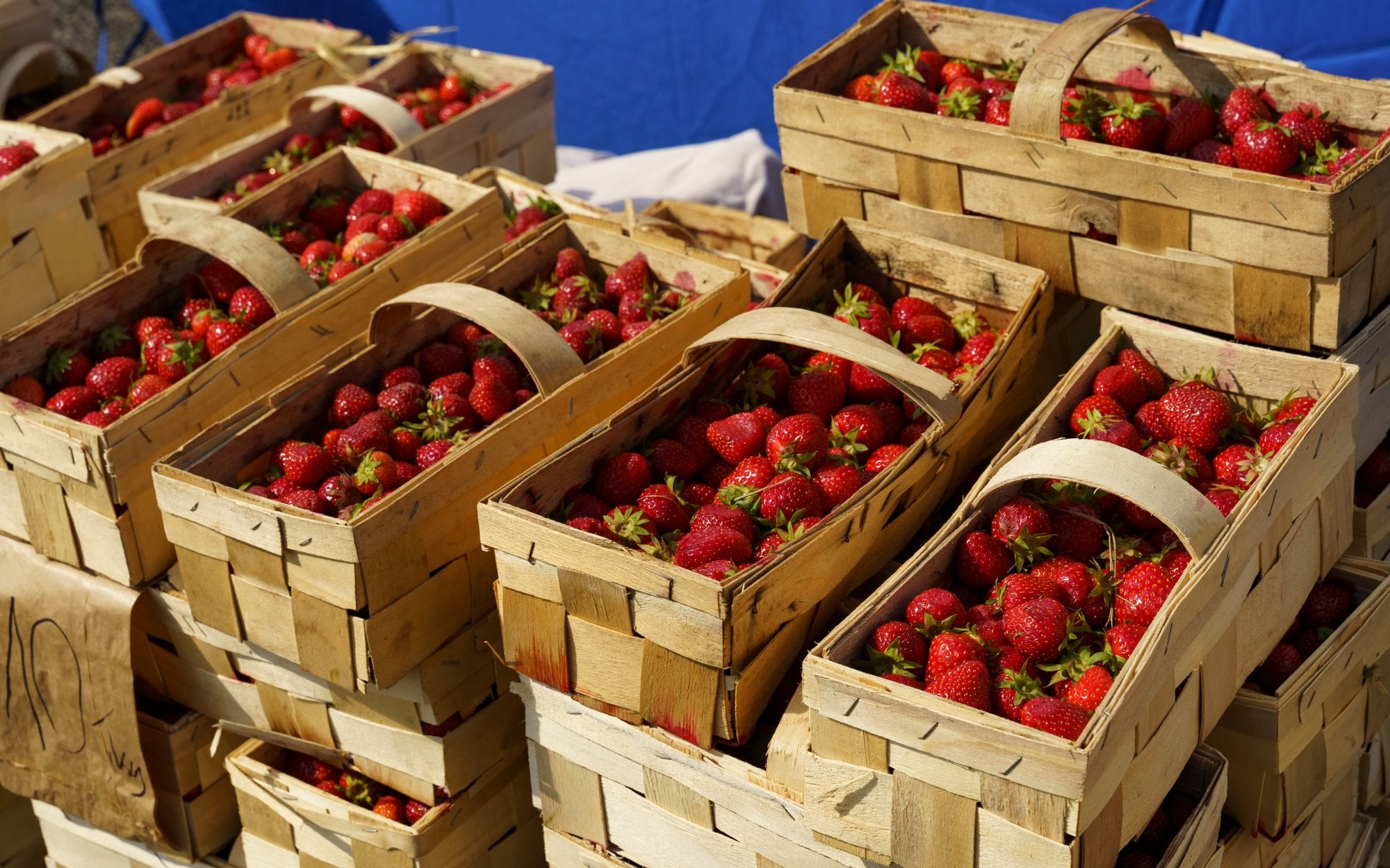 Na rynku pojawiły się pierwsze polskie truskawki. Ceny na razie są wysokie