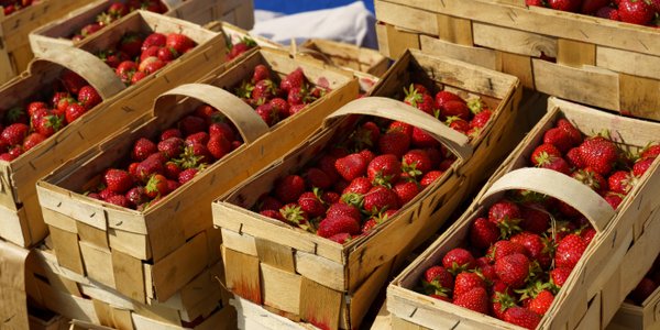 Na rynku pojawiły się pierwsze polskie truskawki. Ceny na razie są wysokie