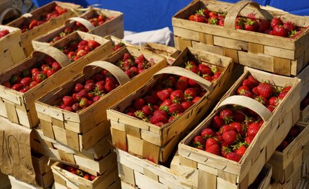 Polskie truskawki są już dostępne w sprzedaży. Ile trzeba za nie zapłacić?