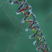 Hojność odnaleziona w DNA