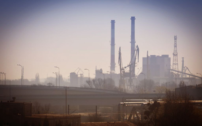 Pożyczkę z Wojewódzkiego Funduszu Ochrony Środowiska można przeznaczyć m.in. na ograniczenie emisji 