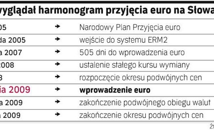 Niższe ceny w euro?