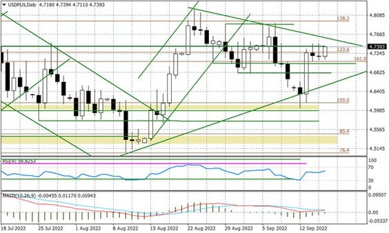Wykres dzienny USDPLN
