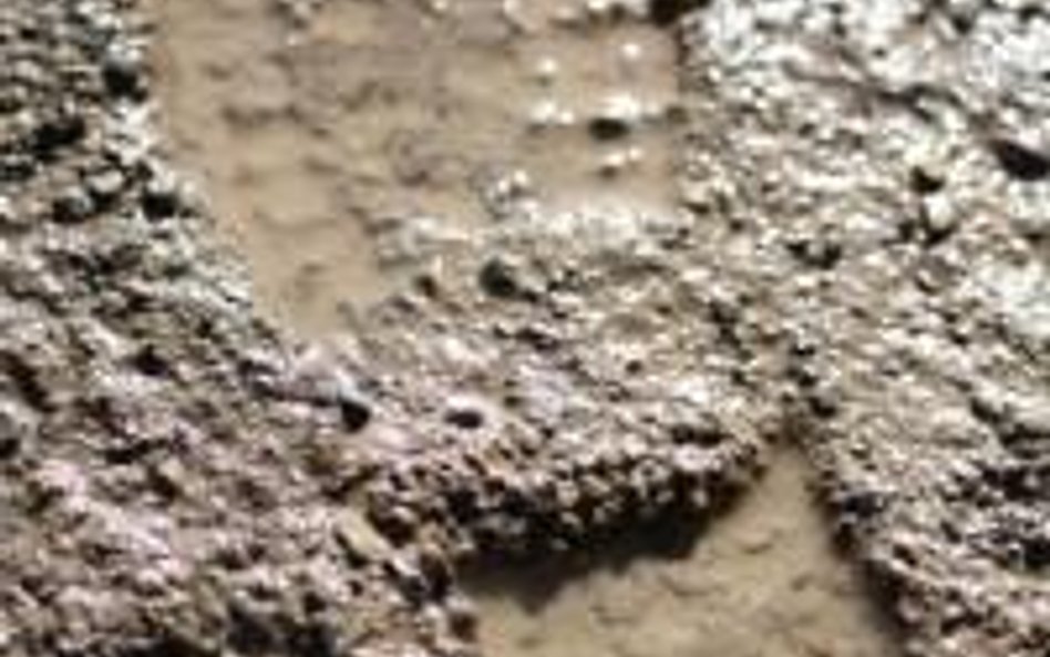Trzeba udowodnić,że klienci kancelarii brudzą klatkaę schodową