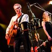 Mick Harvey