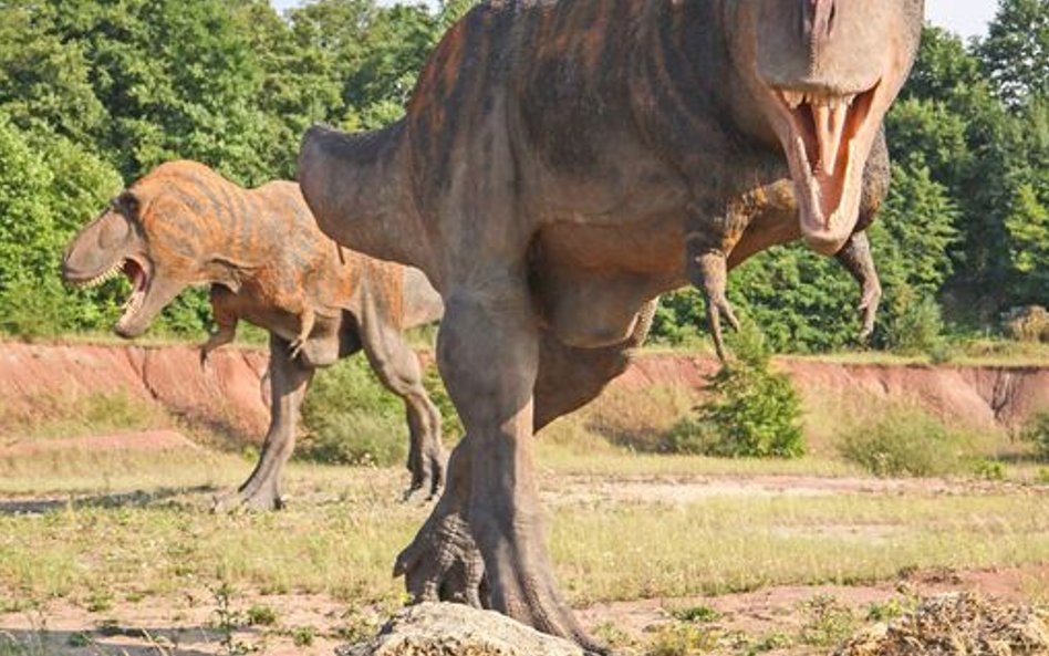 Na 40-hektarowy Park Nauki i Rozrywki Krasiejów (20 km na wschód od Opola) składają się JuraPark, Pa