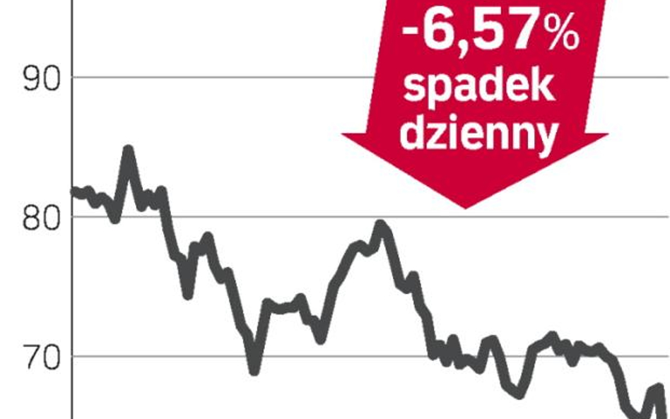 Brak rządowego wsparcia