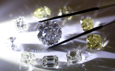 Łukaszenko nauczy Zimbabwe, jak szlifować diamenty