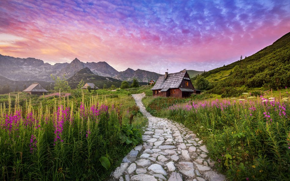 W rozkładzie jazdy najszybszy pociąg EIC z „Tatry” z Krakowa do Zakopanego będzie jechał 3 godziny i