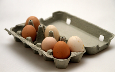 Ceny jajek podnoszą ciśnienie. To wynik zmowy dostawców?