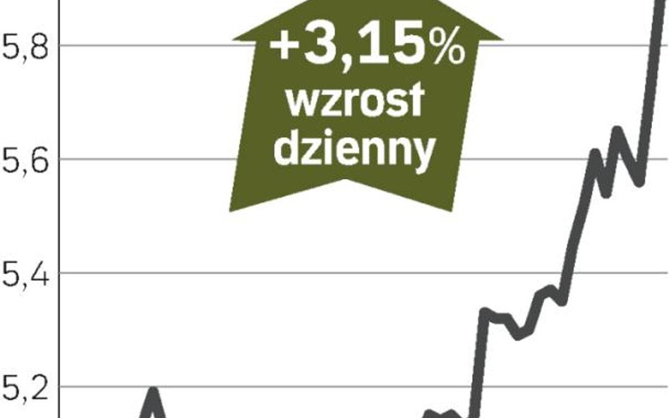 Wzrost kursu akcji energetycznej spółki t