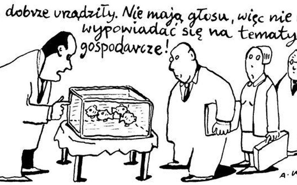 Komentarz rysunkowy