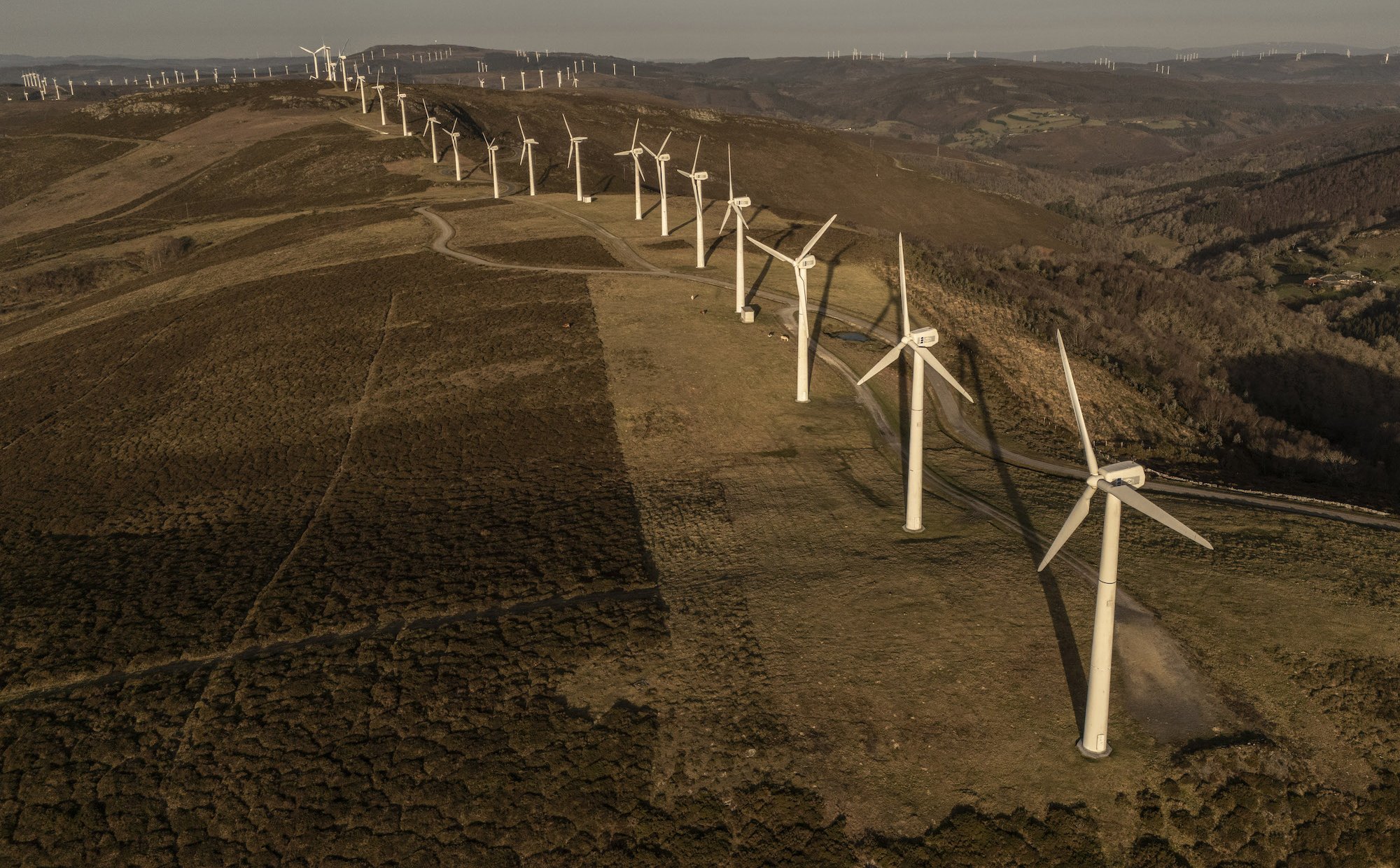 „Kradzież wiatru”, niskie ceny i niechęć inwestorów. Nowe zmartwienia branży OZE