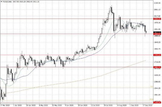 Notowania złota – dane dzienne