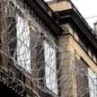 PiS odmładza kadry: Wielka zmiana warty
