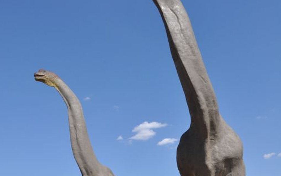 Na 40-hektarowy Park Nauki i Rozrywki Krasiejów (20 km na wschód od Opola) składają się JuraPark, Pa