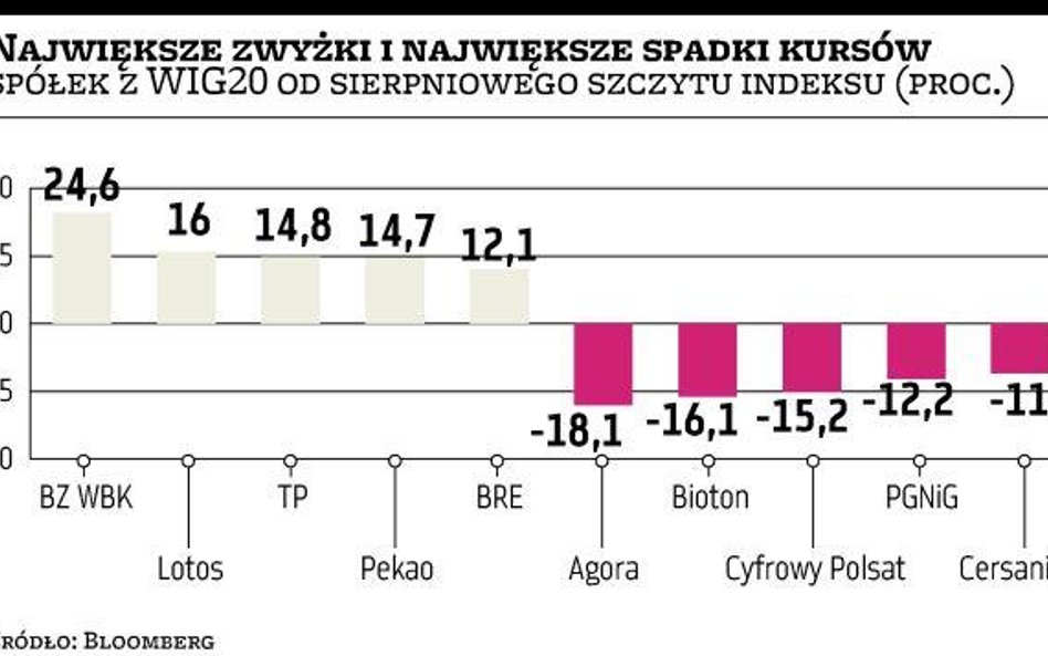 Oferta nie przeszkodziła giełdowej hossie