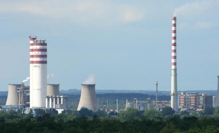Puławy oczekują 190-200 mln zł mln zł zysku netto za ostatni rok obrotowy