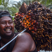 Indonezja zakazuje eksportu oleju palmowego