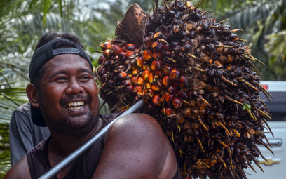 Indonezja zakazuje eksportu oleju palmowego