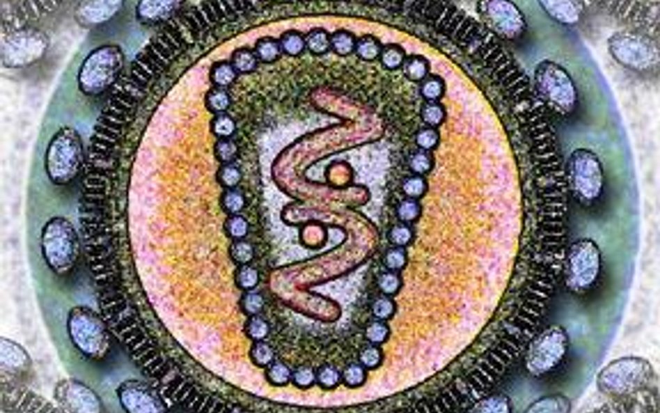 Stylizowany obraz wirusa HIV