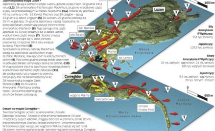 Strategia i taktyka: sprzymierzeni na Dalekim Wschodzie