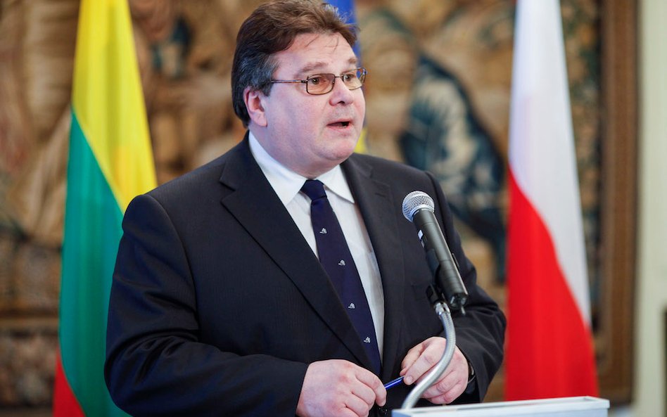 Linas Linkevičius, szef MSZ Litwy
