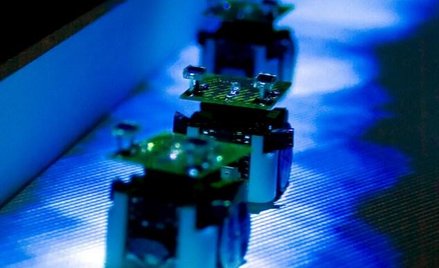 Roboty wędrują jak owady