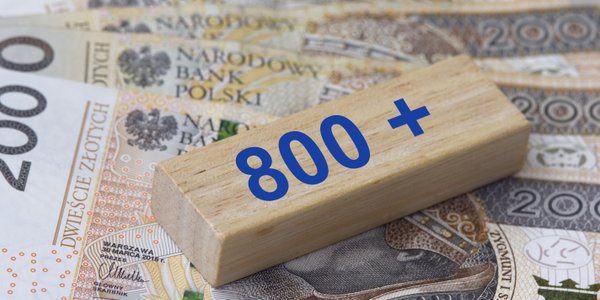 Kiedy wypłaty 800 plus w styczniu 2026? Zmiany w terminach przelewów