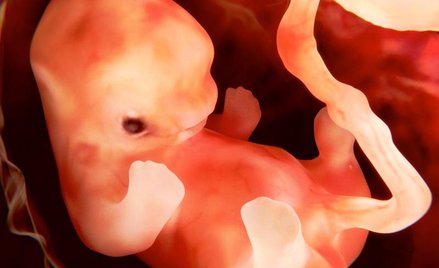 15 dzieci — jeszcze w łonie matki — otrzyma zastrzyki komórek macierzystych