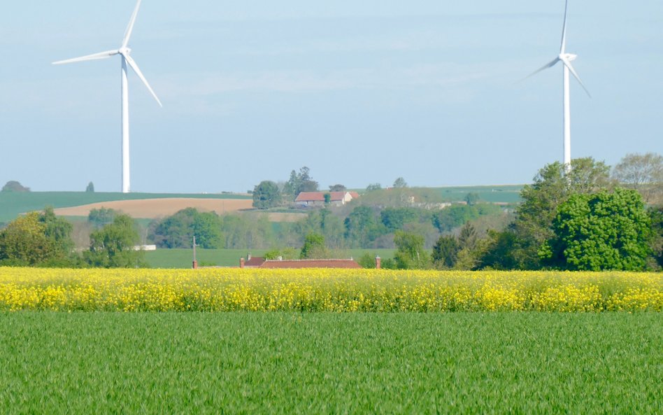 Wiatr, a ostatnio fotowoltaika to najbardziej popularne źródła energii w spółdzielniach