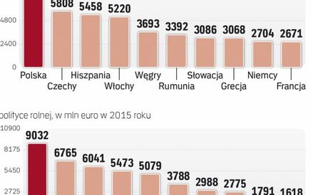 Największe dotacje płyną do polski i francji
