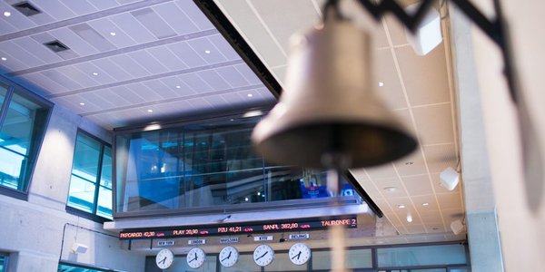 Nieoficjalne informacje "Parkietu": IPO Rex dojdzie do skutku. Cena zaskakuje