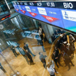 Grupa kapitałowa posiada obecnie 246 mln zł wolnej gotówki