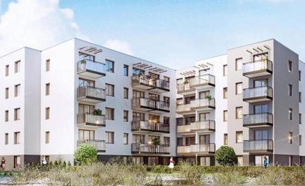 Chabrowe Wzgórze w Kowalach koło Gdańska.