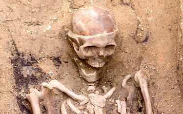 Szkielet został odkryty w trumnie, wewnątrz Kolegiaty św. Marii Magdaleny.