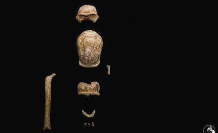 Włochy: Odkryto szczątki dziewięciorga neandertalczyków