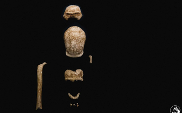 Włochy: Odkryto szczątki dziewięciorga neandertalczyków