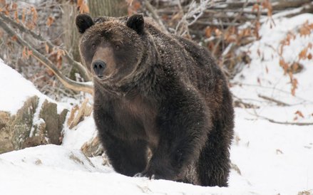 Zdjęcia do "Królestwa” kręcone na Podlasiu to ok. 10 proc. całego filmu.