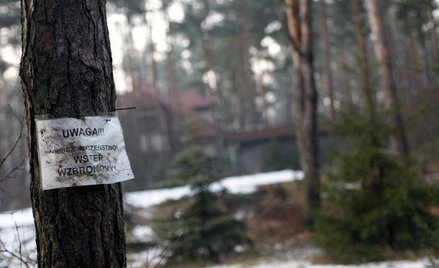 Miejsce feralnej akcji policji w Magdalence