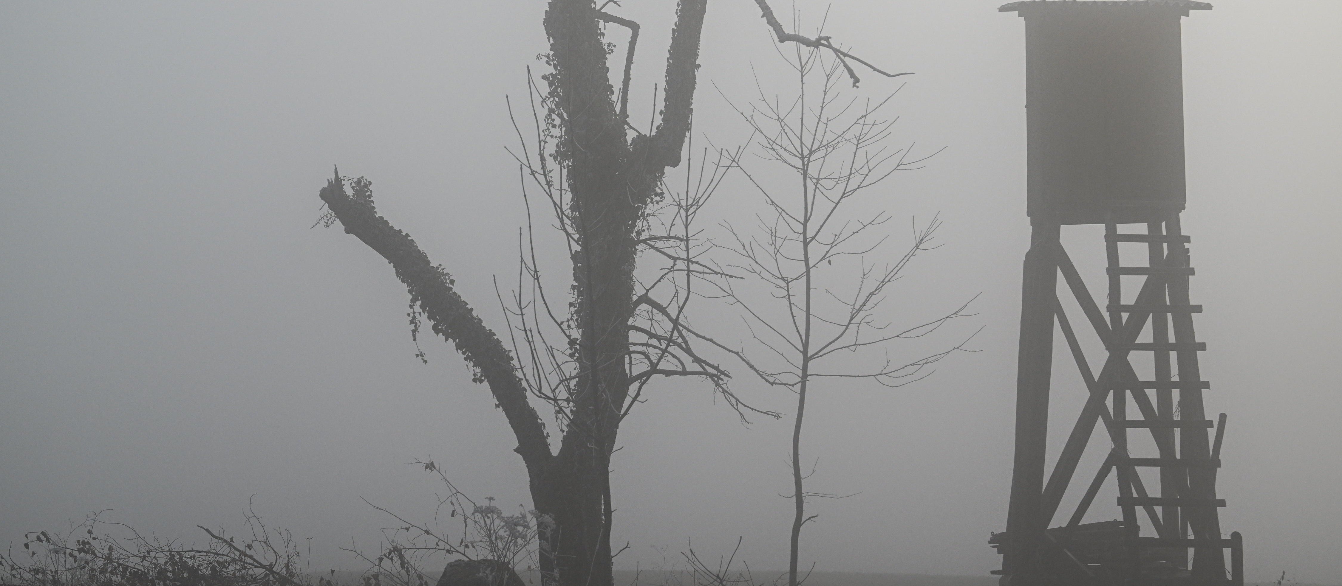 Boguslaw Chrabota: Children and hunting. Before the PSL the devil's alternative